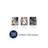 Home Asmalı Havlu 750 Yaprak (3 Paketx250 Yaprak)
