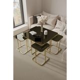Home Plus Mobilya 4+1 Gold Kaplama Bronz Ayna Radüslü Orta Sehpa - gold bronz