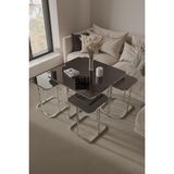 Home Plus Mobilya 4+1 Gümüş Kaplama Füme Ayna Radüslü Orta Sehpa - Gümüş Füme