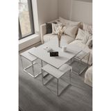 Home Plus Mobilya 4+1 Gümüş Kaplama Glossmax MDF Membran Orta Sehpa - gümüş beyaz