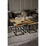 Home Plus Mobilya 4+1 Siyah Ayak Atlantik Çam Orta Sehpa - siyah atlantik çam