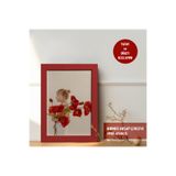 HOMEPACK 15X21 CM Kırmızı Ahşap Çerçeveli Poster Çerçevesi, Boş Çerçeve, KIRMIZI-MASAUSTU-15X21