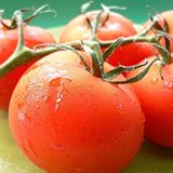 Homestead Domates Tohumu 25+ Adet – Ata Tohumu Domates Çeşidi – Doğal ve Verimli – Kolay Yetiştirme