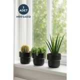 HOMİNG 3 Adet Mini Dekoratif Saksı Siyah 241353