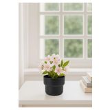HOMİNG Homing Plastik Saksı Siyah 11 cm SEH-4620