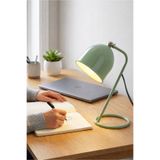 HOMİNG Homing Simplu Retro Renkli Masa Ve Gece Lambası