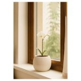 HOMİNG Krem Yuvarlak Mini Saksı 242207