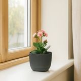 Homing Mini Kare Antrasit Saksı 242202