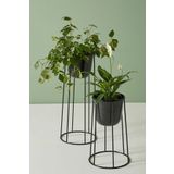HOMİNG Mini Masaüstü Için Metal Çiçeklik Saksılık Siyah 2'li Set Seh-4613 2 Adet Siyah Plastik Saksılı 20 cm