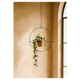 Homing Modern Tasarım Askılı Metal Çiçeklik Saksılık 25 Cm Seh-4559