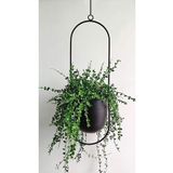 HOMİNG Modern Tasarım Askılı Tekli Çiçeklik Saksılık 25 Cm Seh-4609