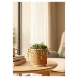 HOMİNG Retro Kahve Desenli Beton Saksı 242799