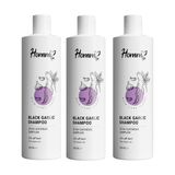 Homm Life Siyah Sarımsak ( Black Garlic ) Şampuan 400 ml - 3 Adet