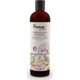 HOMMCOZMETİC Homm Sarımsak Ginseng Şampuan 400 Ml