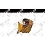 Honda Fızzy125 Hava Filtresi