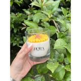 Hora Candle Atelier Ay Çiçeği/papatya Mum - Beyaz - Sarı