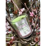 Hora Candle Atelier Çilekli Macha Latte Mum - Yeşil - Pembe