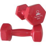 Horizon King Vinyl Kaplı Dökme Demir Altıgen Çift Dambıl 6 kg - 2 x 6 kg