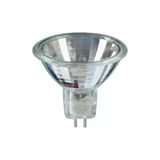 Horoz 50W 220V 5.3 Çanak Halojen Ampul