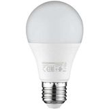 Horoz Electric Premıer-9 220V 9 Watt E27 2700K Günışığı LED Ampul - Şeffaf