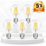 Horoz Fılament Globe-10 10W E27 6400K LED Ampul 5''li Pack