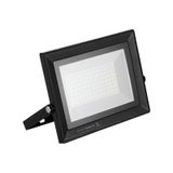 Horoz Pars 100W 6400K Led Projektör