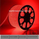 Hortum Esnek Şerit LED Kırmızı Işık 220V Fış/1,2,3,4,5,7,10,15,20,25,30 Metre - 2 m