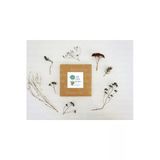 Hoş Geldin Bebeğim Etiketi Bebek Partisi Mat Çıkartma Çikolata Madlen Sticker 3.5 Cm (45 Adet)
