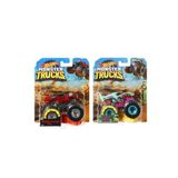 Hot Wheels FYJ44 Munster Trucks 1:64 Arabalar