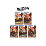 HOT WHEELS Silver Series Vintage Club Set – 5’li Koleksiyon Arabası Uzun Kart (1:64)