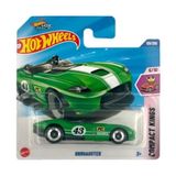 Hot Wheels Tekli Arabalar RRROADSTER HYY69