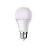 House 12 W Led Ampul A++