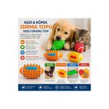 House Bird Kedi & Köpek Isırma Oyuncağı Sesli Dikenli Top – Dayanıklı Kauçuk Çiğneme Topu