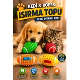 House Bird Kedi Köpek Isırma Oyuncağı Sesli Dikenli Top Dayanıklı Kauçuk Çiğneme ve Oyun Topu