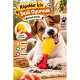 House Bird Köpekler İçin Sesli Tavuk Budu Oyuncak Isırma Çiğneme Eğitici Eğlenceli Köpek Oyuncağı - 1 ADET