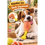 House Bird Köpekler İçin Sesli Tavuk Budu Oyuncak Isırma Çiğneme Eğitici Eğlenceli Köpek Oyuncağı