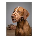 House Bird Premium Örgü Sepet Köpek Ağızlığı 7 Boy Set