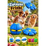 House Bird Zıplayan Frizbi Top Köpek Oyuncağı Fiziksel Aktivite ve Zeka Oyuncağı