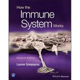 How the Immune System Works