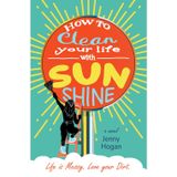 How to Clean Your Life with Sunshine: A women’s fiction novel perfect for fans of heartfelt humor and imperfect heroines