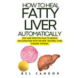 HOW TO HEAL FATTY LIVER AUTOMATICALLY: Fast and effective plan to reduce inflammation with the NEW "Natural Liver Cleanse" method. (fatty liver diet cookbook, Band 9)