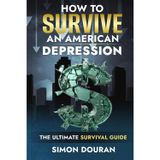 How To Survive An American Depression (How To Survive - Financial And Practical Advice In A Problematic market, Band 2)
