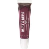 Hsc Bilişim Burt's Bees% 100 Doğal Köken Nemlendirici Dudak Parlatıcısı, Smooch - 1 Tüp - 951-Renkli