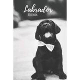 Hsc Bilişim Labrador Notebook: Notebook (120 Pages, 6"x9") : Lined Labrador Notebook / Journal - Great Accessor - 1 Adet - 001-Renkli