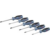 Hsc Bilişim Professional Torx Tornavida Seti 6 Parça (Torx, S2 Çelik, T10X75, T75X75, T20X100, T25X100, T