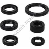 Hsgl Motorsiklet Cub 100 110 125 Motor Keçesi Komple Takım 6 Lı Cub Modeller Keçe Takımı