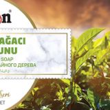 Hsn Altın Seri 125 gr Çay Ağacı Sabunu