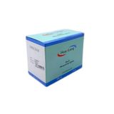 Hualong 22 x25mm 200 Adet Steril Akupunktur Iğnesi