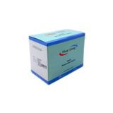 HuaLong Steril Akupunktur İğnesi 0.25x25mm, 200 Adet