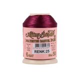 Hubrendy Tedarik Altınbaşak Oya Ve Dantel İpi 20 Gr - Royaleks - No: 025